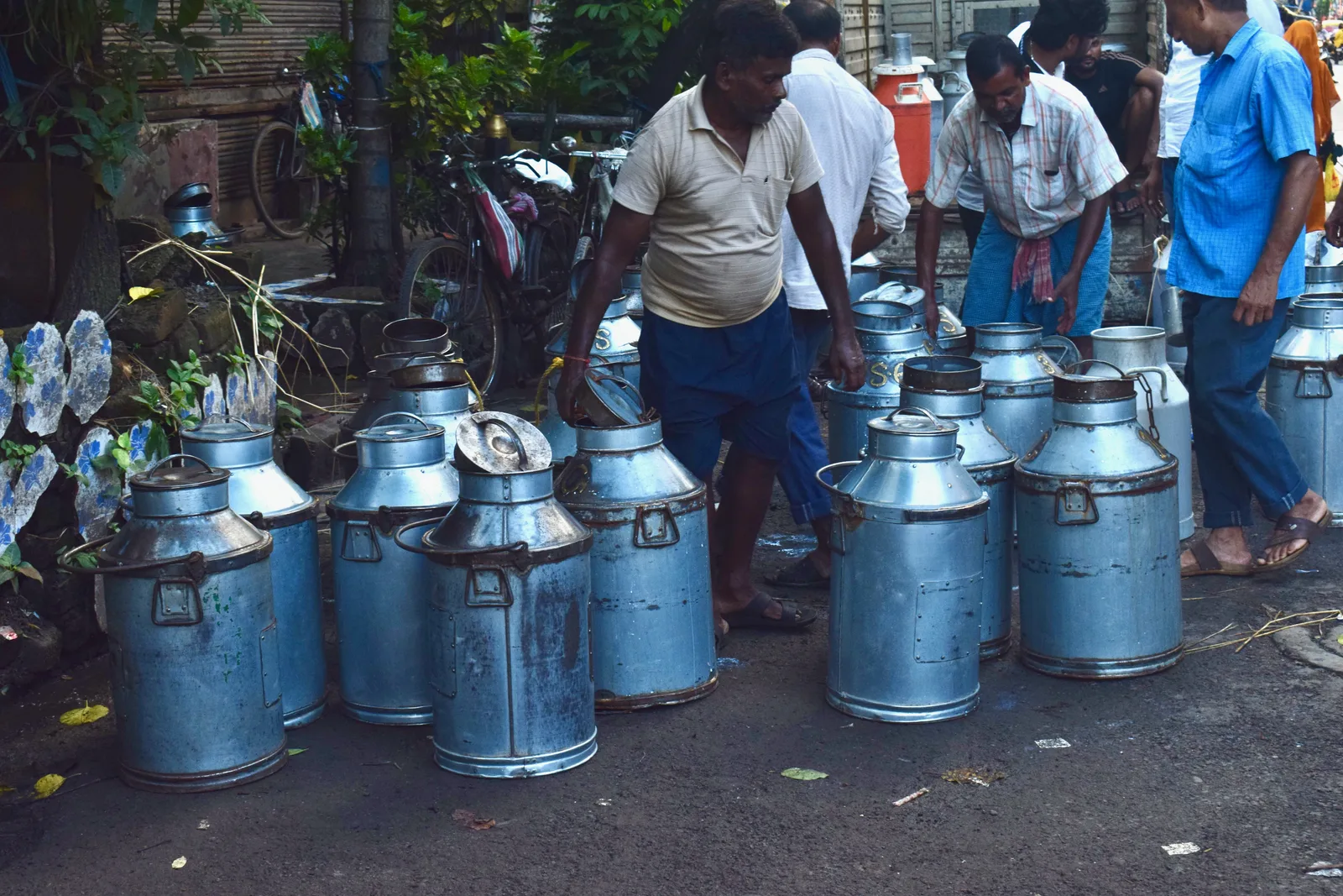 Milk churns lined up for collection