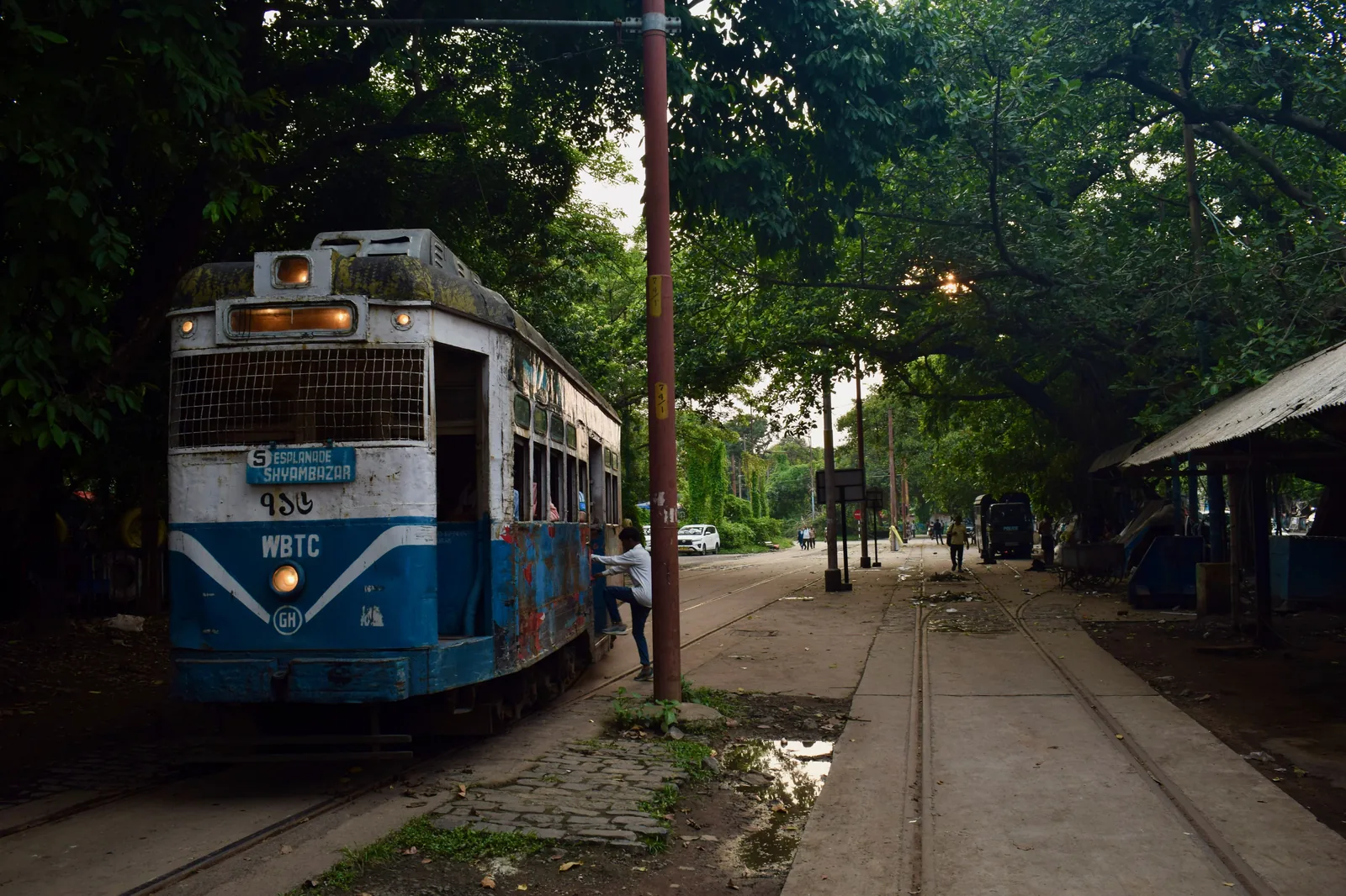 WBTC tram on tree-lined track Kolkata heritage tour